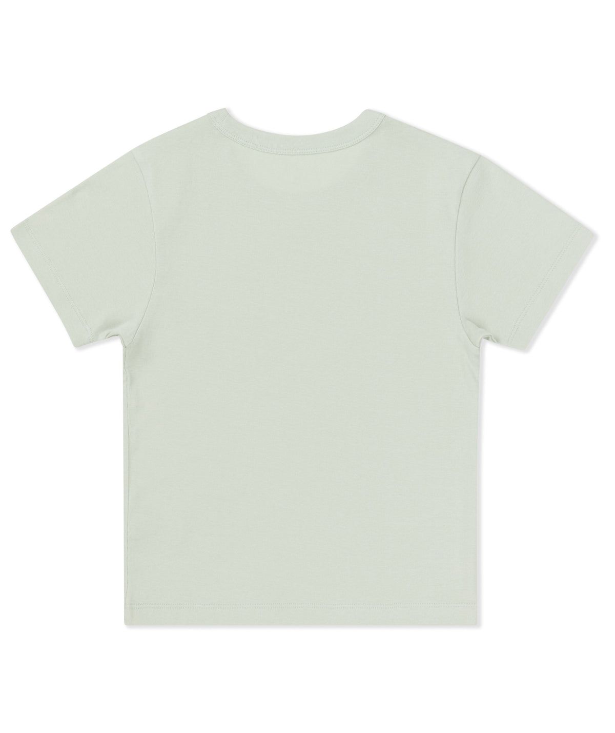Summer Shoreline Baby Tee in Seafoam
