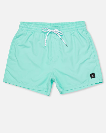 Icon Balboa Volley Boardshort 15" in Tropical Mist
