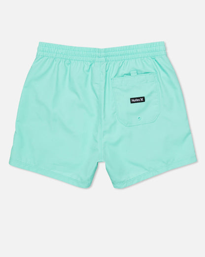 Icon Balboa Volley Boardshort 15" in Tropical Mist