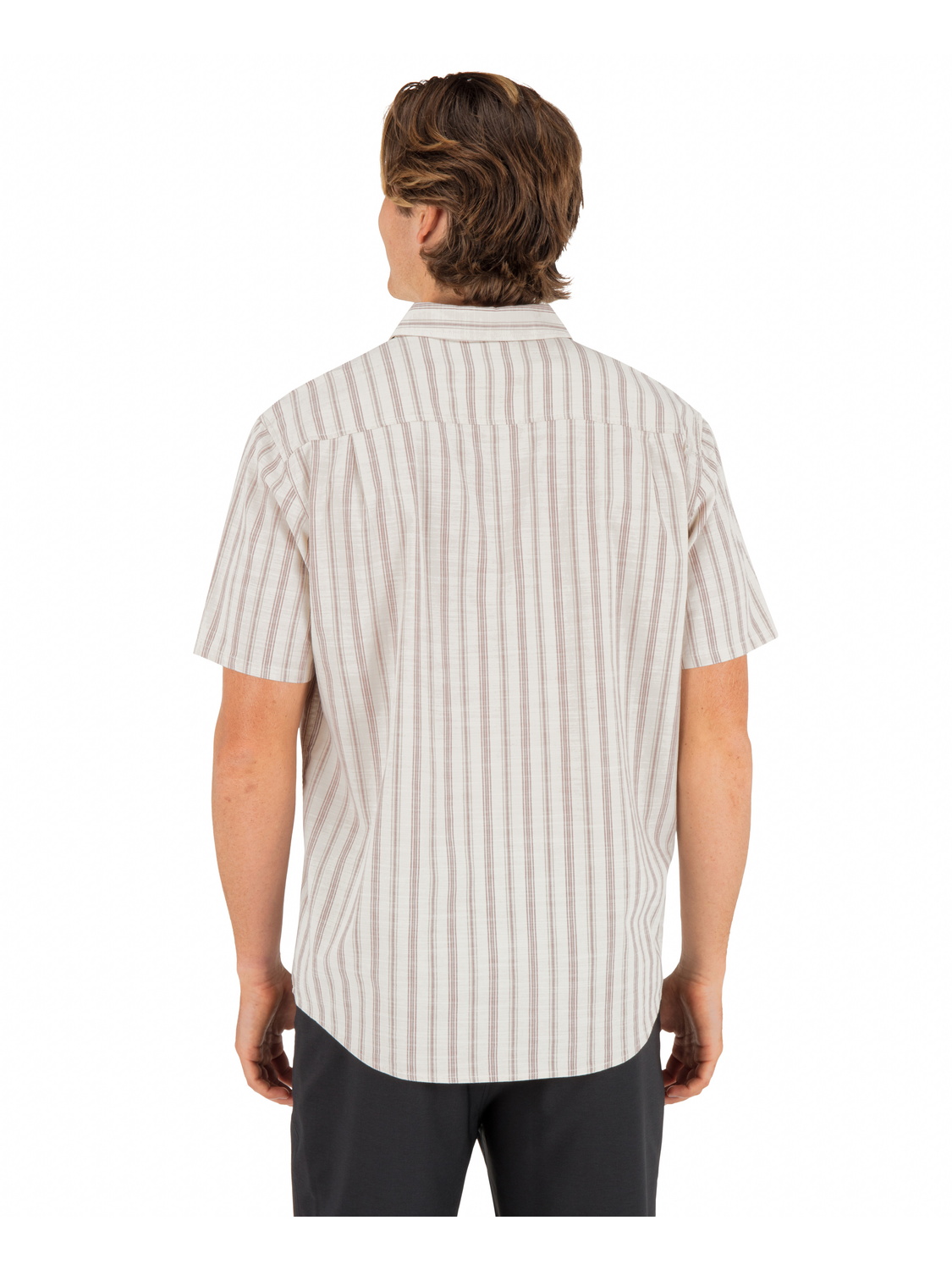 Lido Stripe Short Sleeve in Bone