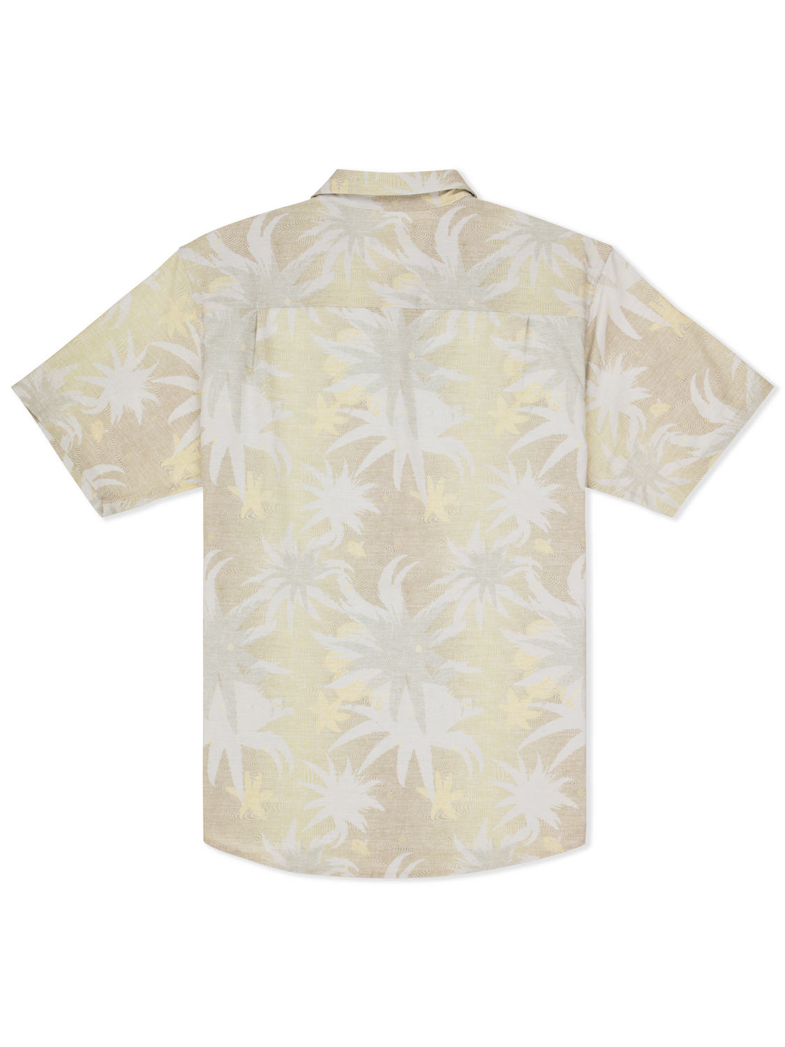 Newport Stretch Short Sleeve in Hazelnut