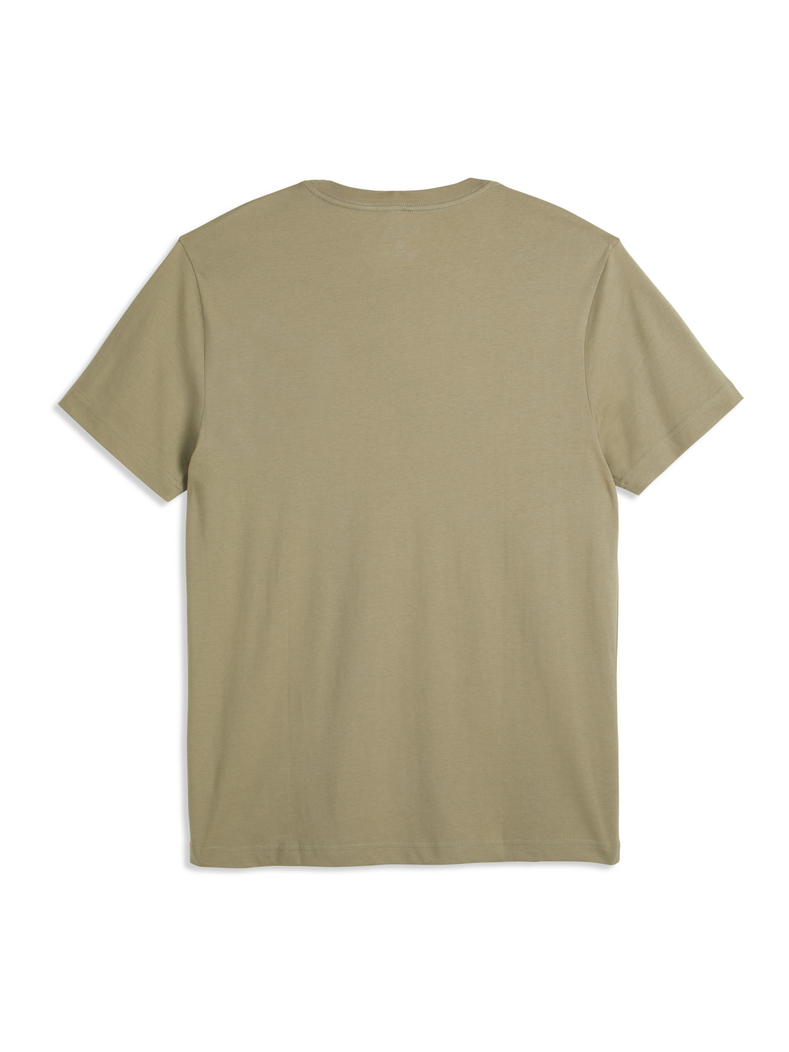 Forever Aloha Short Sleeve Graphic Tee in Iguana