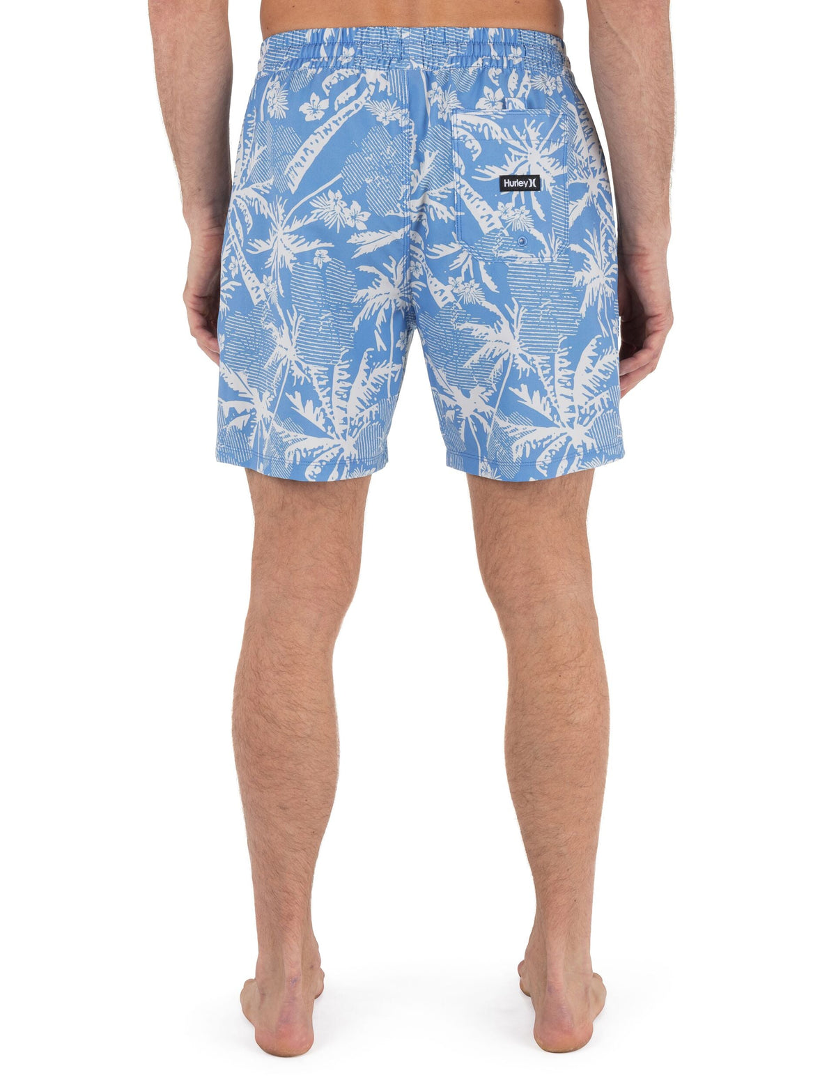 Cannonball Volley Boardshort 17" in AQUIFER