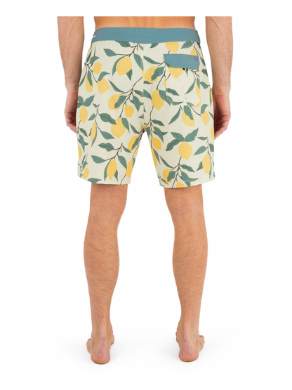 Phantom Eco Classic 18" in Pineapple