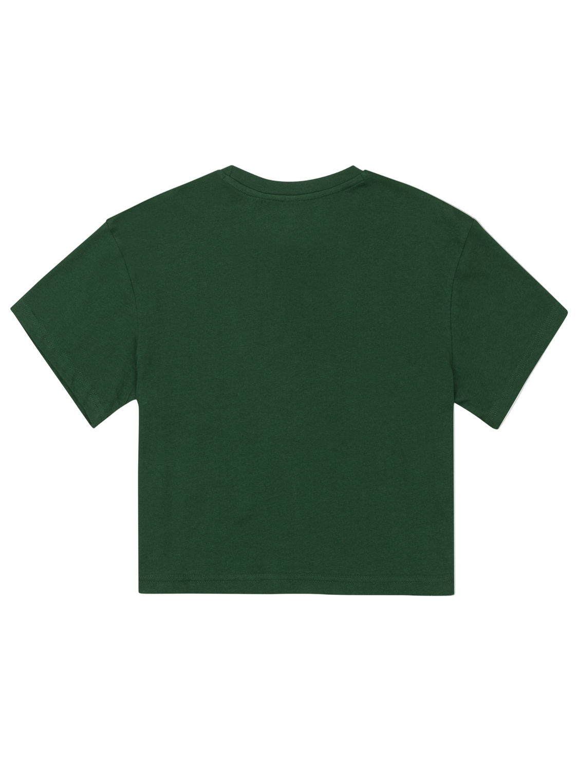 Wild And Free Boxy Crop Tee in EDEN