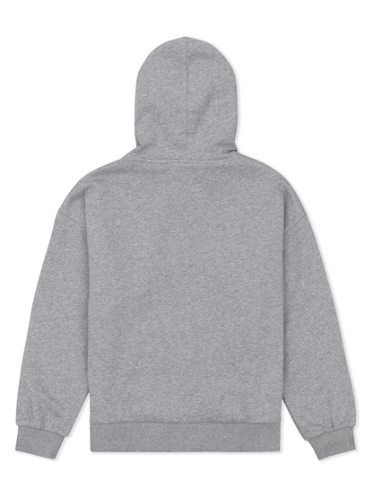 Solamar Zip Hoodie in GREY HEATHER