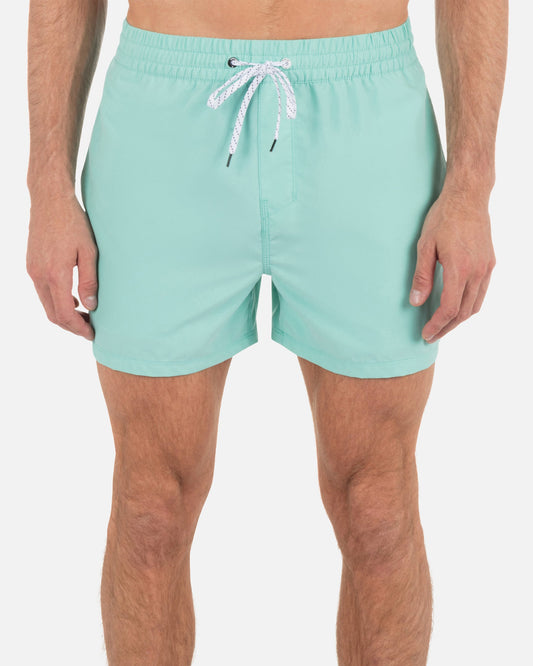 Icon Balboa Volley Boardshort 15" in Tropical Mist