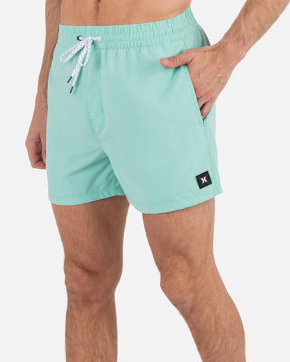 Icon Balboa Volley Boardshort 15" in Tropical Mist